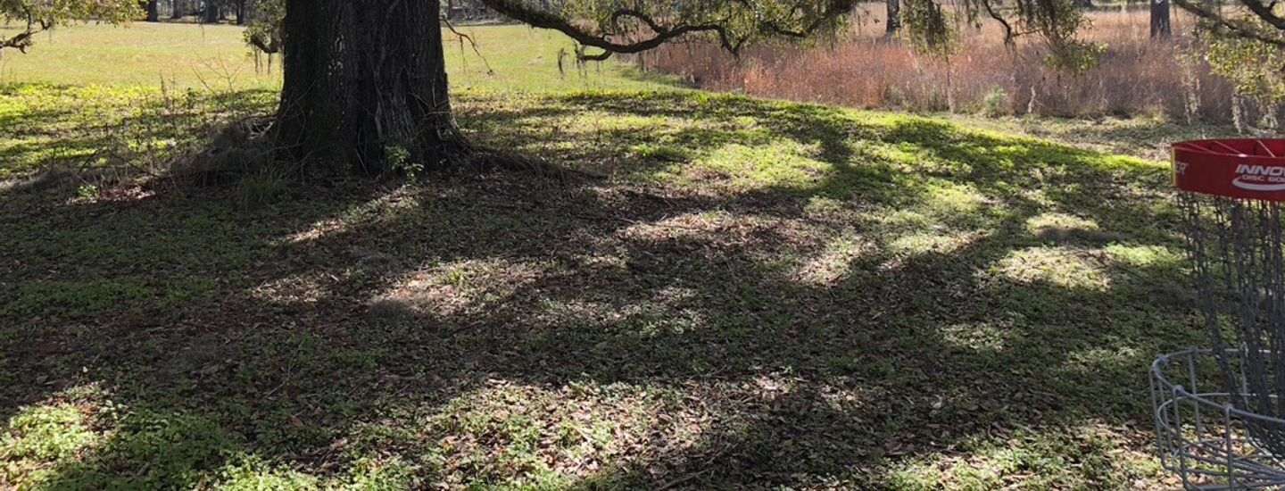 TDGA Events - Bag Tags