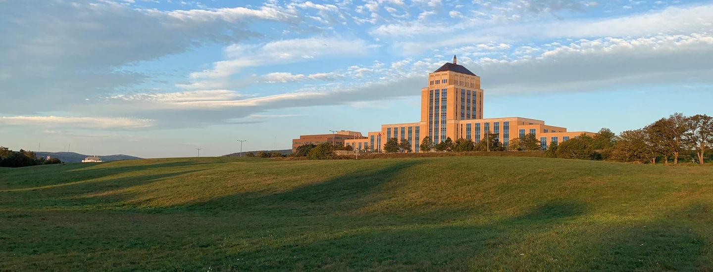 Avalon League - Wednesday League Night