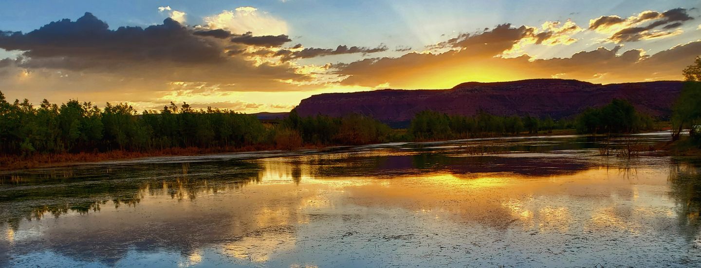 Kanab Disc Golf League
