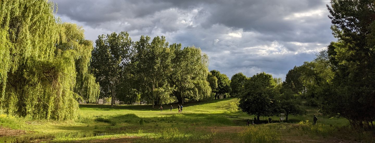 Kamloops Disc Golf League - Kamloops Disc Golf League