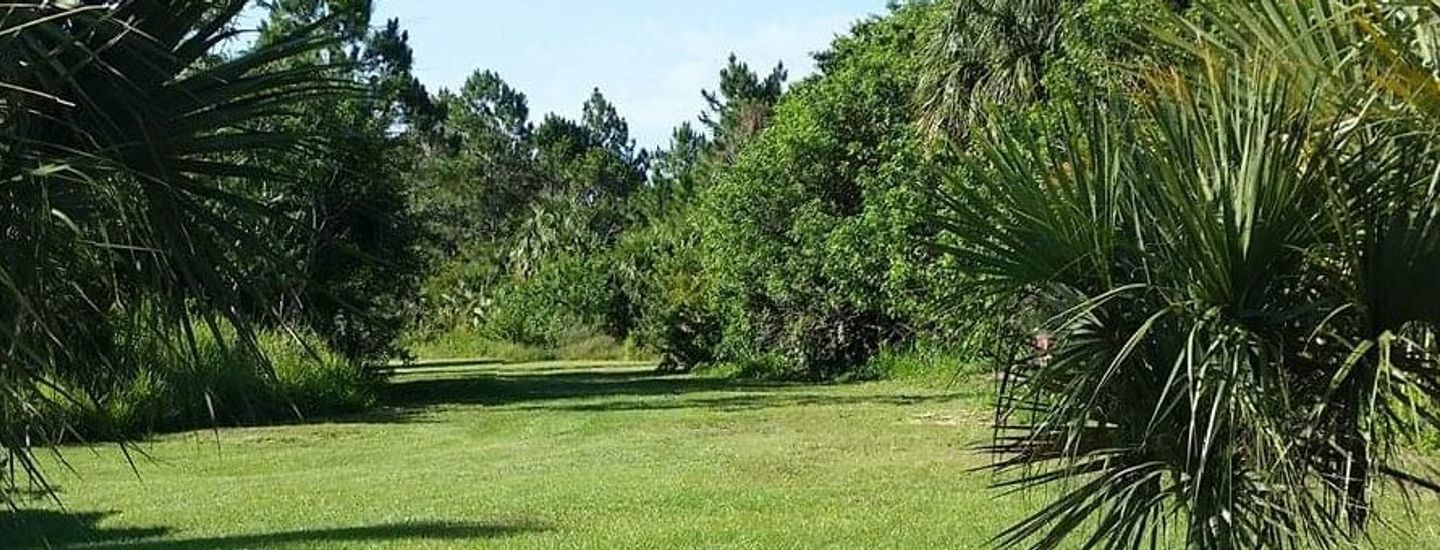 Palm Bay Regional League