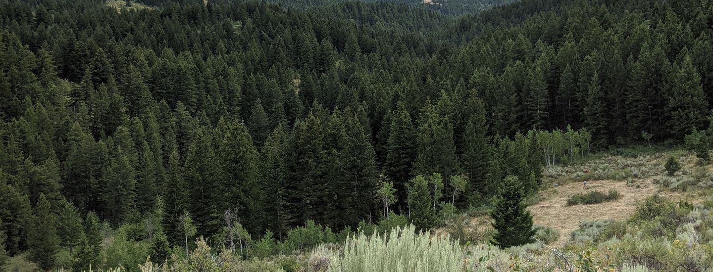 Portneuf Valley Traveling