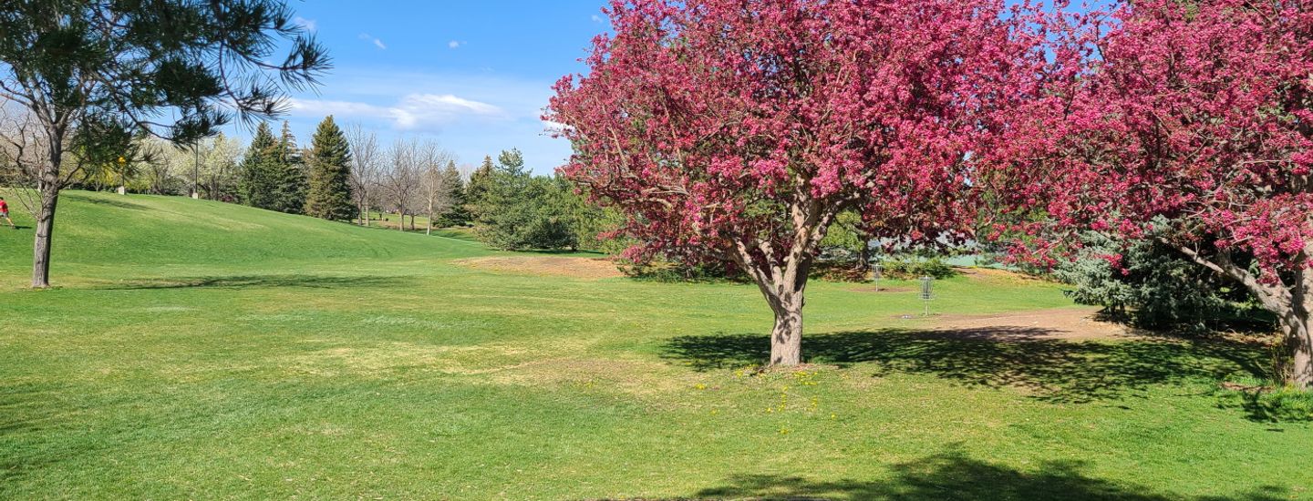 Edora Tuesday League NoCo