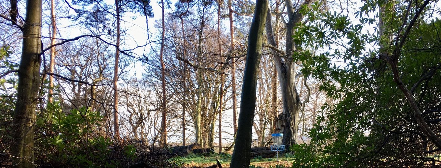 KSI frisbeegolf - Leauge - KSI frisbeegolf - Leauge (Kun for medlemmer av studentidrettslaget)