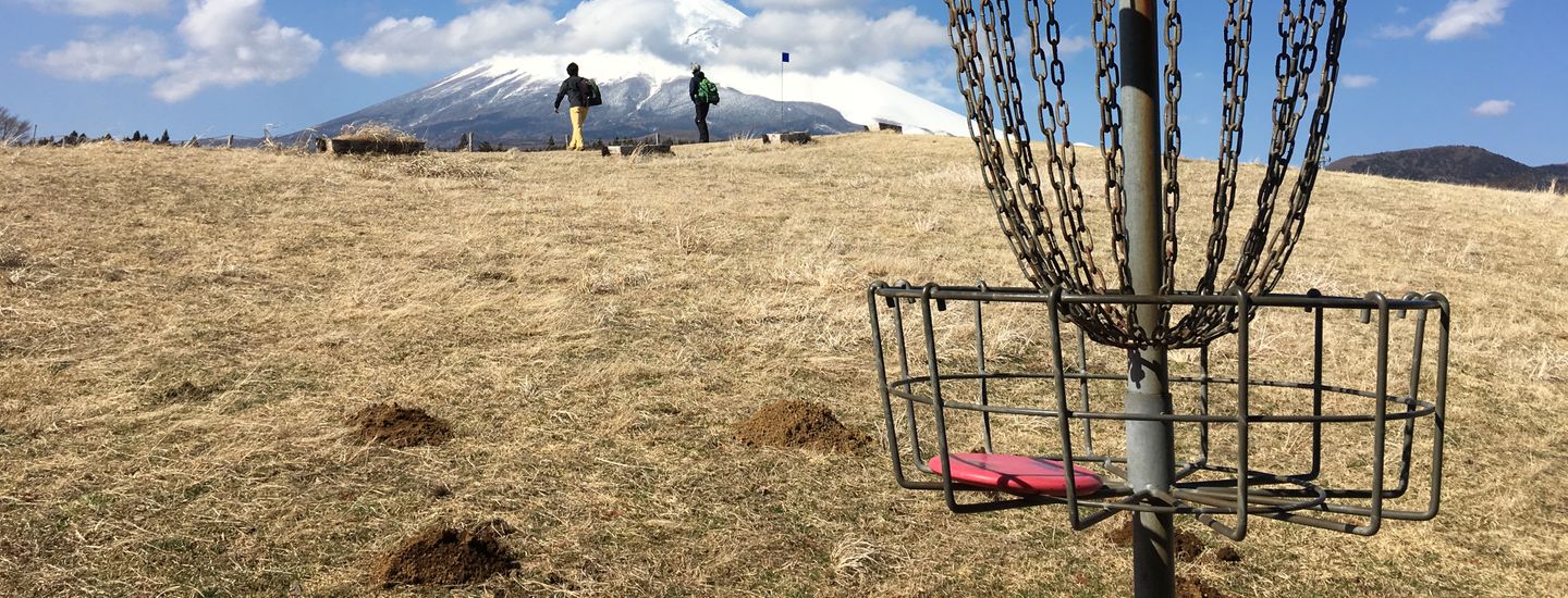 Monroe County Disc Golf League