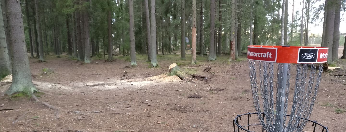 Scotland Meadows DGC singles