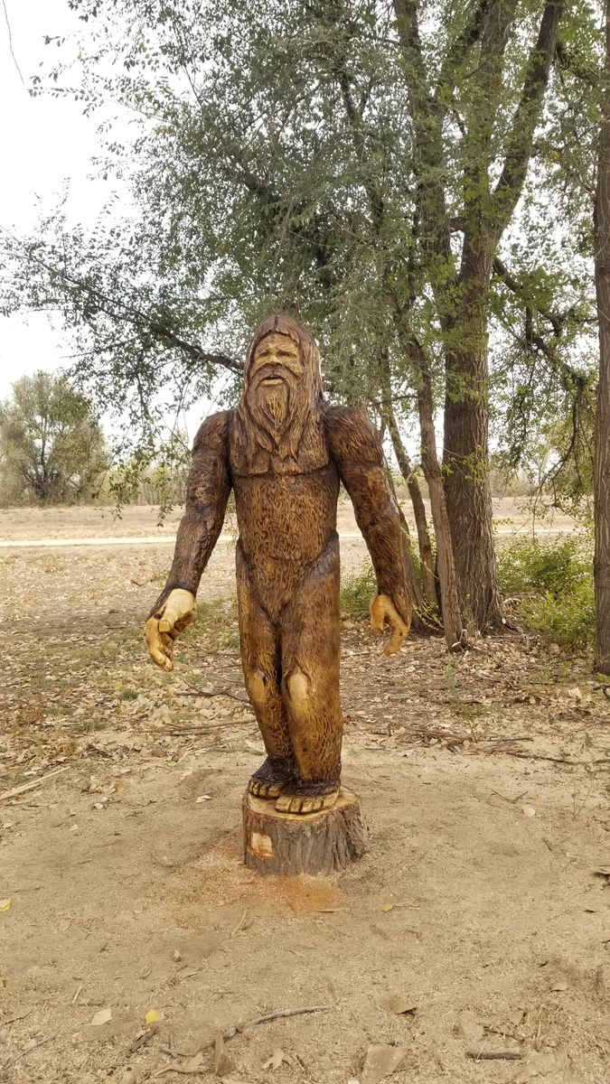 CODGHOF Winter Series 2026: Stop 4 Sponsored by Rare Air Discs