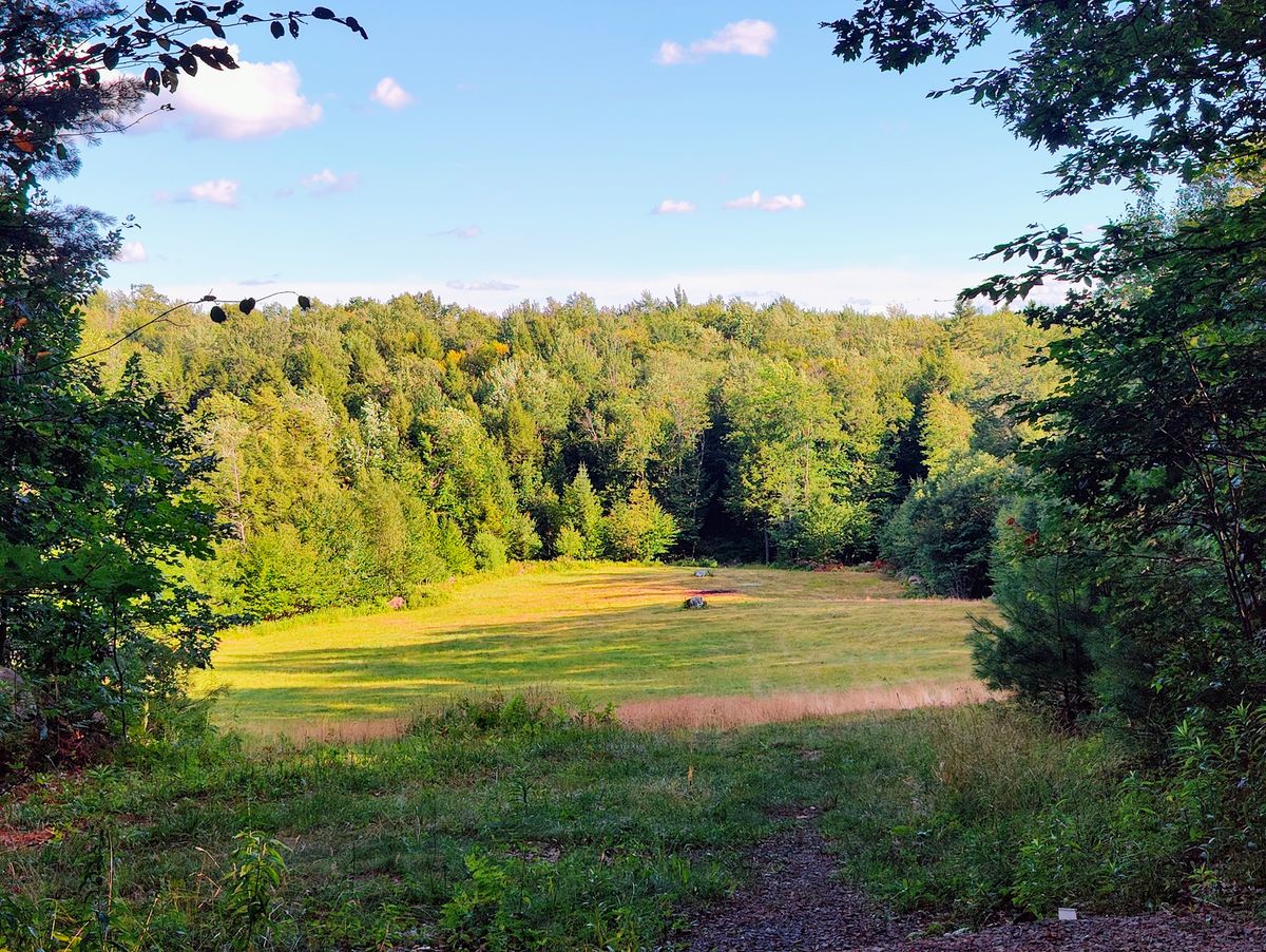 DisCap Flex series 2026 6 of 6 (CEP Charity - Rated)