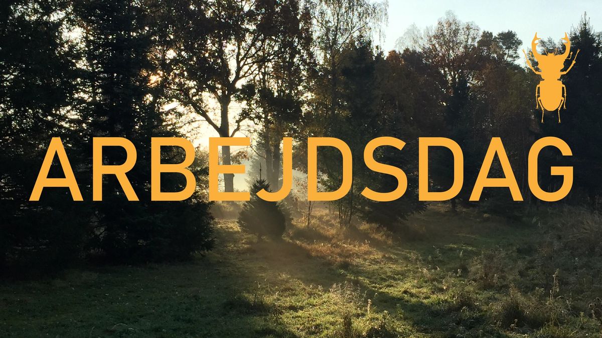 ARBEJDSDAG