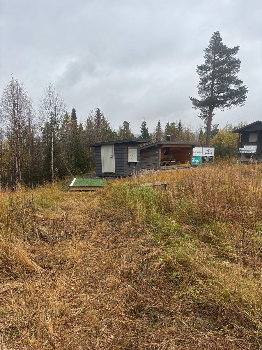 Formiddagsdiscgolf-PAR