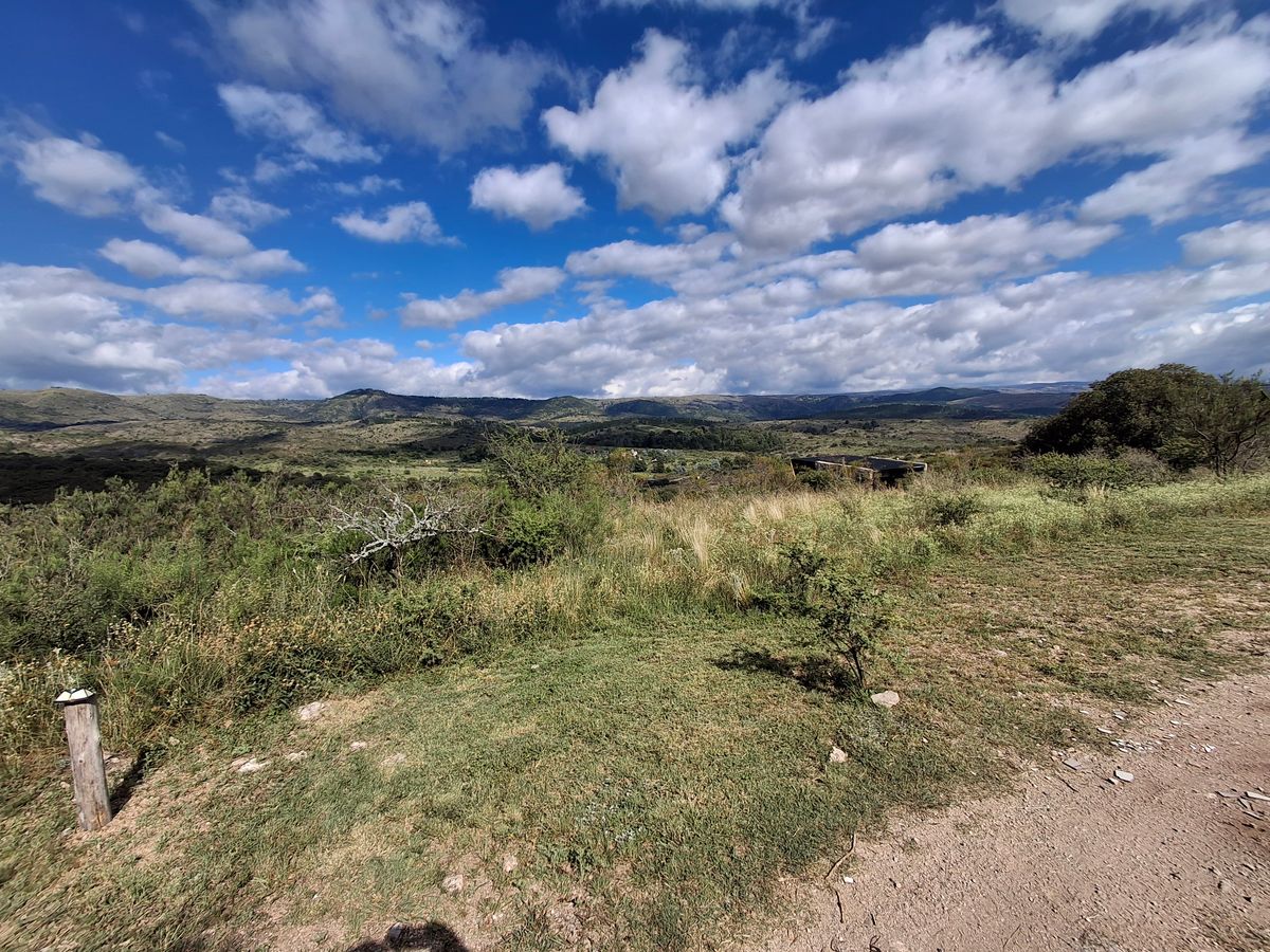 ARGENTINA Open DOUBLES Championship 2026 with RPM Discs