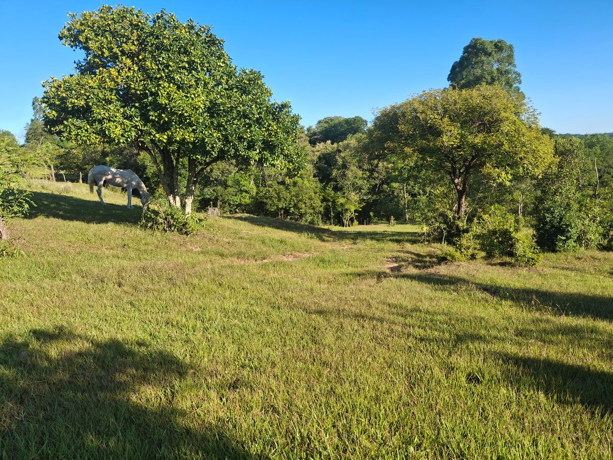 PARAGUAY Open DOUBLES Championship 2026 with RPM.