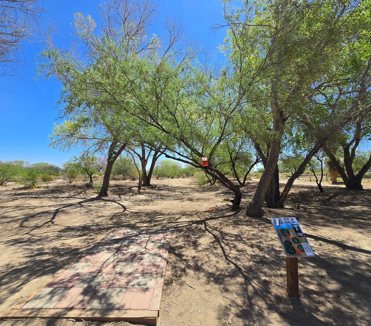 4th Annual Ducks on the Pond Powered by Prodigy