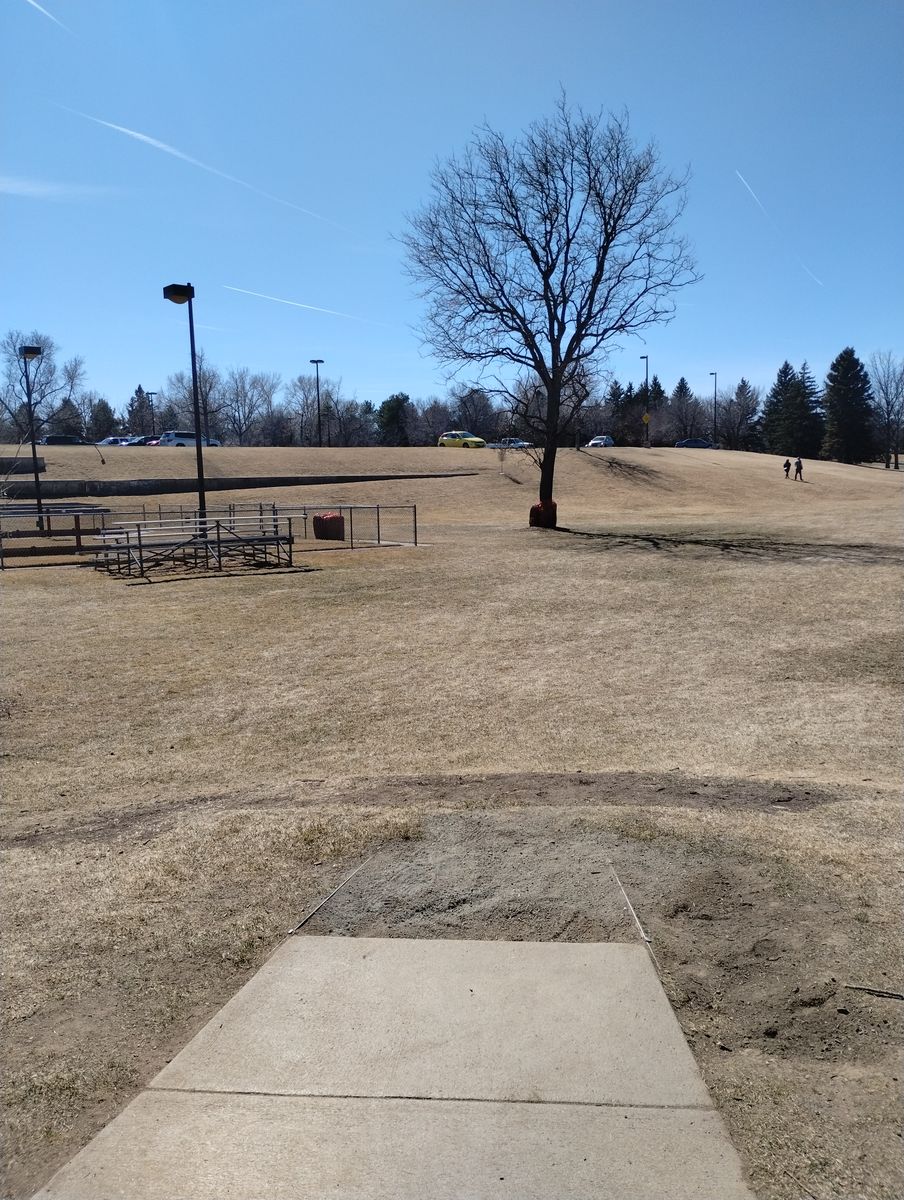 Free Spring Funday Friday