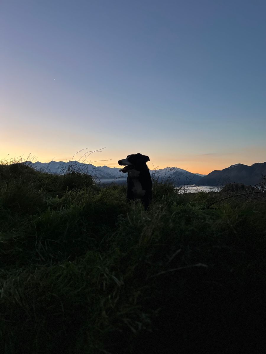 Wānaka Weekly League  - Friday League 🔥