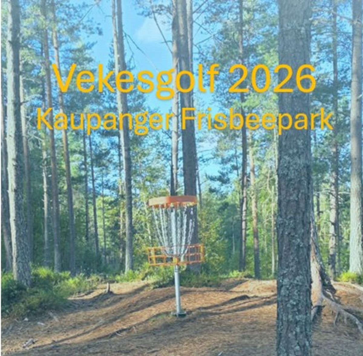 Vekesgolf Kaupanger Frisbee - Runde 1 - Kolla