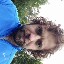 User avatar image