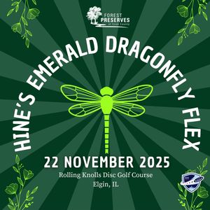 Hine’s Emerald Dragonfly Flex