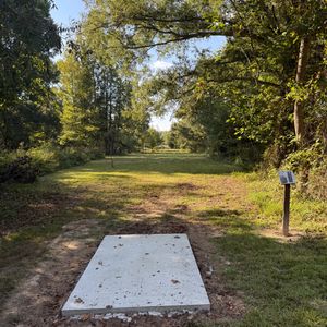 Freezebee December Throwdown