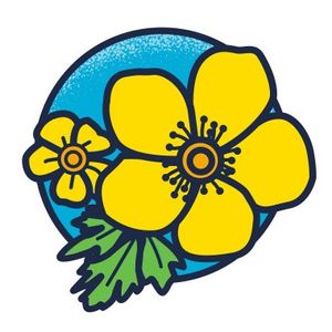 The 4th Annual Buttercup Battle