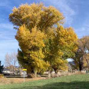 TDGC January Tournament