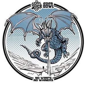 Des Moines Metro DGC Ice Bowl 2026