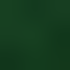 Fundraiser for Otter Creek Ladies Open