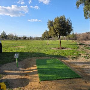 1st Annual Beaumont Ice Bowl
