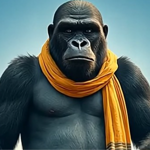 THE PREGAME-  2pm RIPT REVENGE & MORE