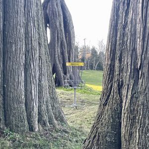 Throwing Amongst Giants - Tee Times