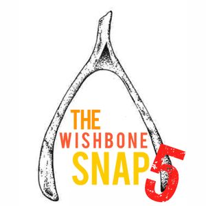 Wishbone Snap 5