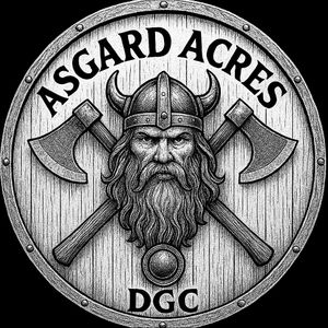 Bregoa a Asgard ( throwing at Asgard)