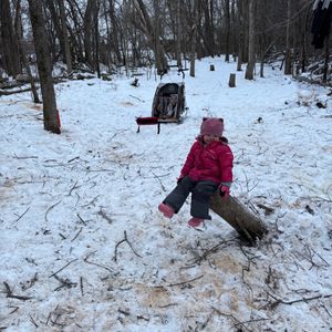 Maitland Woods Ice Bowl III