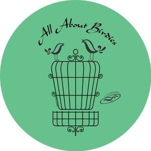 All About Birdies GLOW Fall 2025 