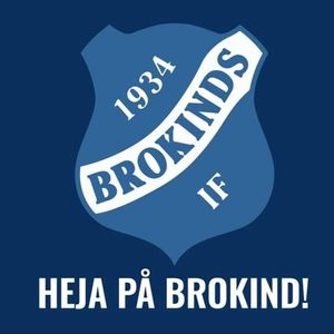 Brokind Disc Golf Open