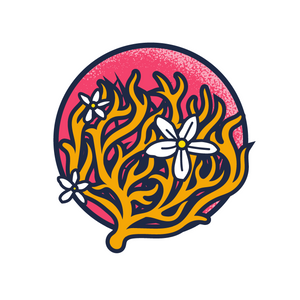 2nd Annual Tumbleweed Toss