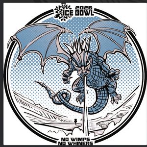 Level 48 Ice Bowl '26