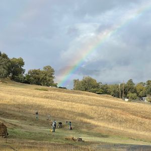 Single Disc Saturday