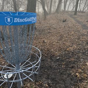 Baskets in the Blossoms