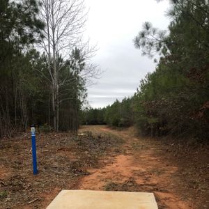 2nd Annual Sprung Heel Classic Open Invitational (You’re Invited) Tournament!