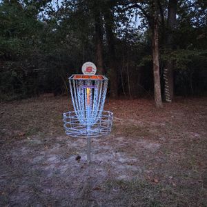 Ryne Theis Memorial Disc Golf Tournament