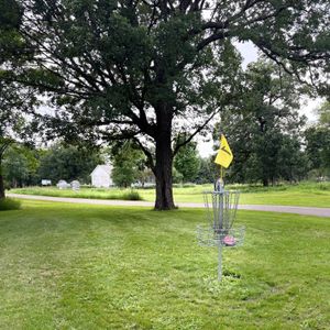 Boji Blue Random Dubs