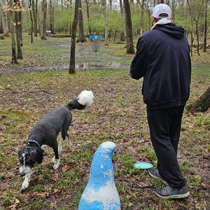 Bull Run Monday Doubles