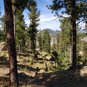 Custer Thursday League - Thursday League Night at Pageant Hill