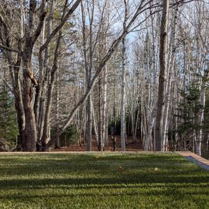 Ligue amicale automne/hiver  - Double