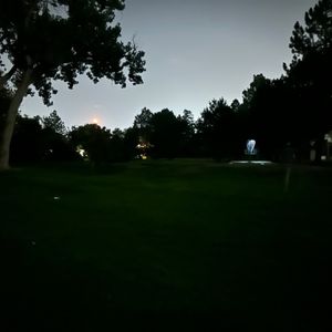 Glow putters ONLY