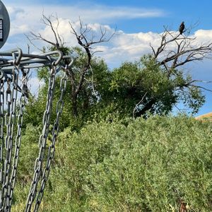 Mile High Disc Golf Club