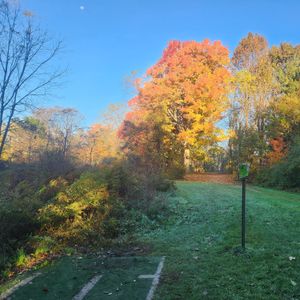 Christie Random Dubs