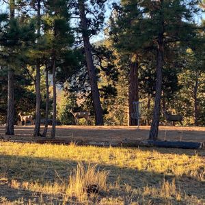 Wooden Hollow Leagues  - Wooden Hollow Saturdays 9 AM
