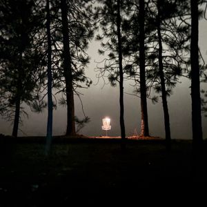 Chain Slayers Disc Golf - Glow